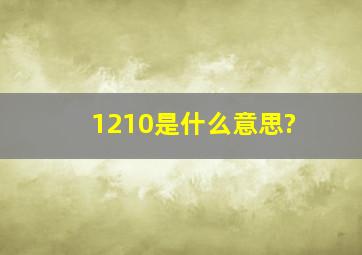 1210是什么意思?