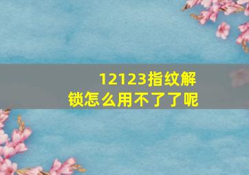 12123指纹解锁怎么用不了了呢