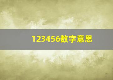 123456数字意思