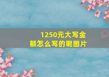 1250元大写金额怎么写的呢图片