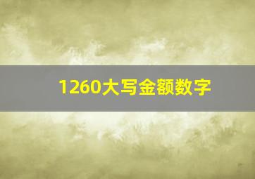 1260大写金额数字