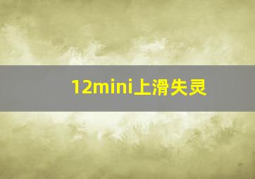 12mini上滑失灵