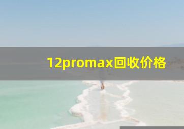 12promax回收价格