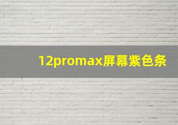 12promax屏幕紫色条