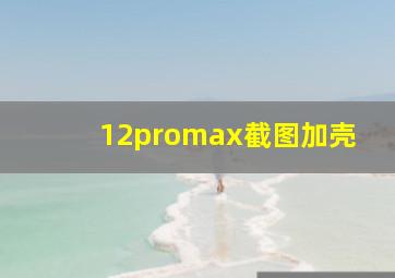 12promax截图加壳