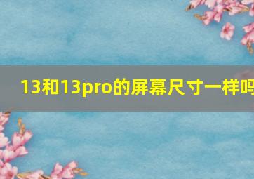 13和13pro的屏幕尺寸一样吗