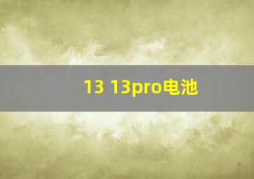 13 13pro电池