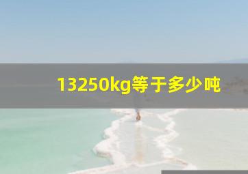 13250kg等于多少吨