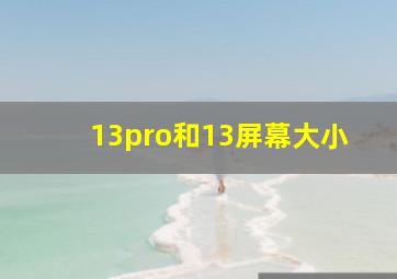 13pro和13屏幕大小