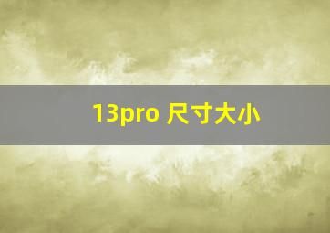 13pro 尺寸大小