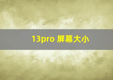 13pro 屏幕大小