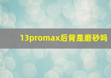 13promax后背是磨砂吗