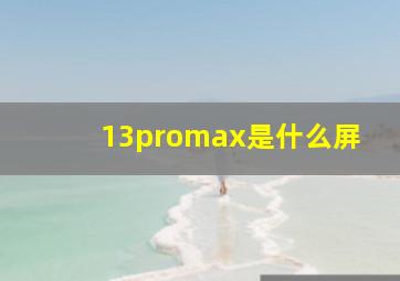 13promax是什么屏