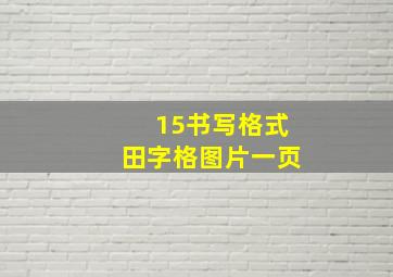 15书写格式田字格图片一页