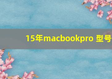 15年macbookpro 型号