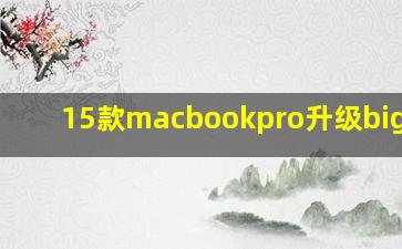 15款macbookpro升级big sur