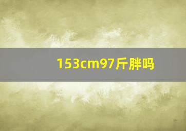 153cm97斤胖吗