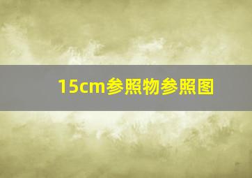 15cm参照物参照图