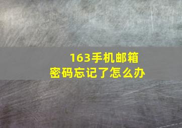 163手机邮箱密码忘记了怎么办