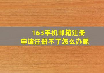 163手机邮箱注册申请注册不了怎么办呢