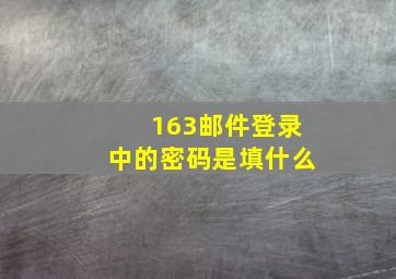 163邮件登录中的密码是填什么