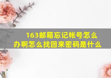 163邮箱忘记帐号怎么办啊怎么找回来密码是什么