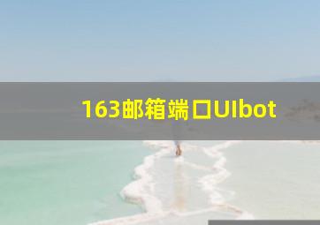 163邮箱端口UIbot