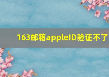 163邮箱appleID验证不了