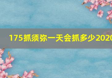 175抓须弥一天会抓多少2020