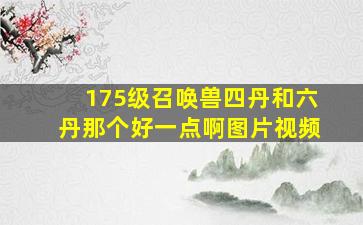 175级召唤兽四丹和六丹那个好一点啊图片视频