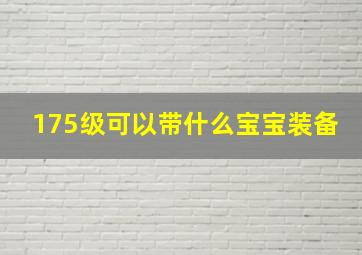 175级可以带什么宝宝装备