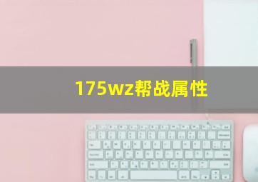 175wz帮战属性