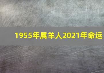 1955年属羊人2021年命运