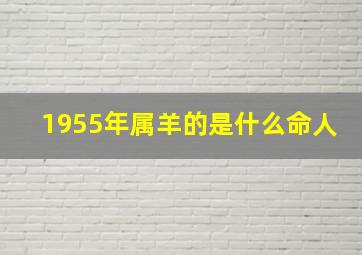 1955年属羊的是什么命人