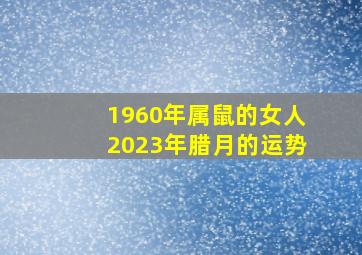 1960年属鼠的女人2023年腊月的运势