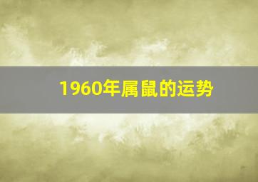 1960年属鼠的运势