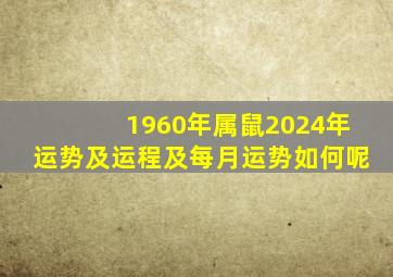 1960年属鼠2024年运势及运程及每月运势如何呢