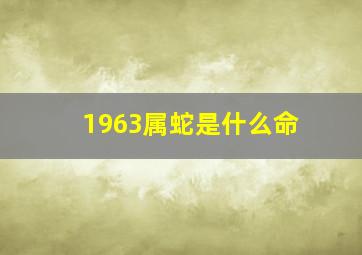 1963属蛇是什么命