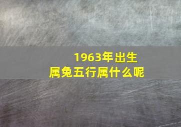 1963年出生属兔五行属什么呢