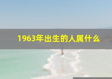 1963年出生的人属什么