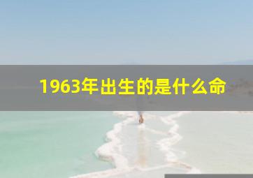 1963年出生的是什么命