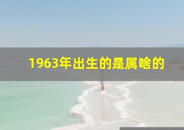 1963年出生的是属啥的