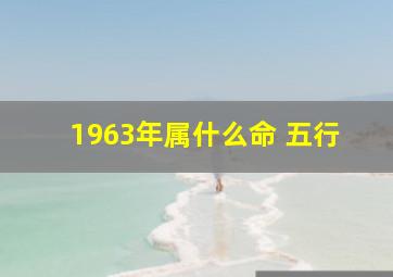 1963年属什么命 五行