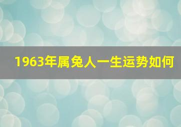 1963年属兔人一生运势如何