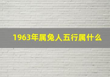 1963年属兔人五行属什么