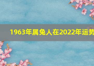 1963年属兔人在2022年运势