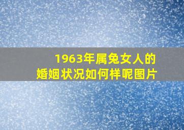 1963年属兔女人的婚姻状况如何样呢图片