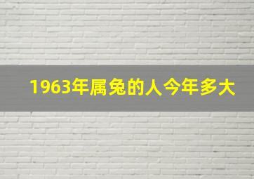 1963年属兔的人今年多大