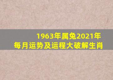 1963年属兔2021年每月运势及运程大破解生肖