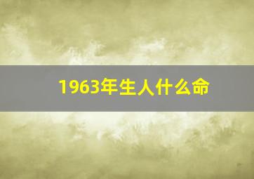 1963年生人什么命